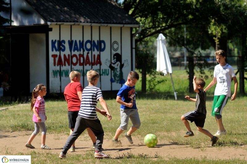 Kis Vakond táborozás