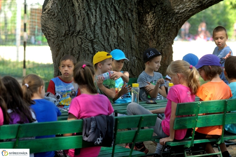 Kis Vakond táborozás