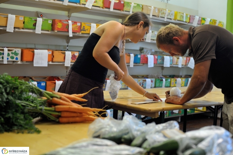 Nyíregyházi Kosár Közösség