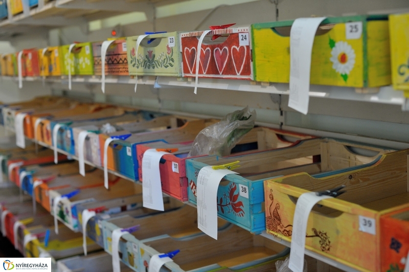 Nyíregyházi Kosár Közösség