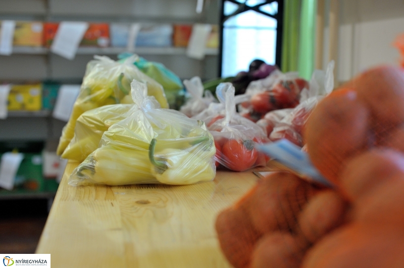 Nyíregyházi Kosár Közösség