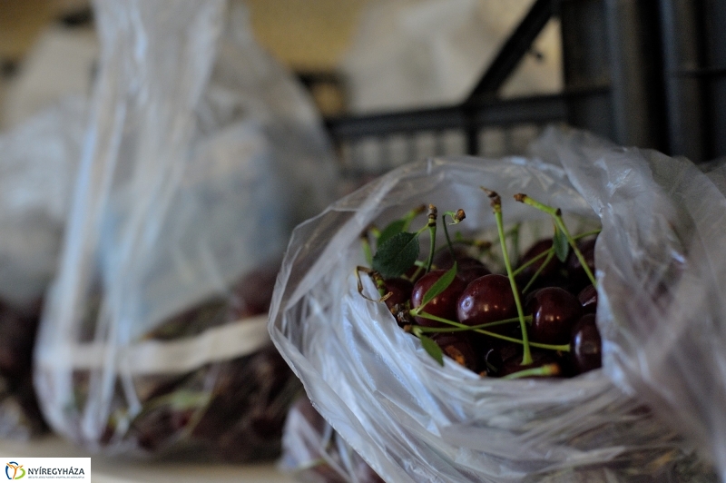 Nyíregyházi Kosár Közösség