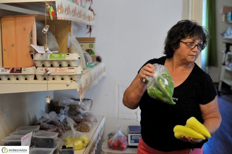 Nyíregyházi Kosár Közösség