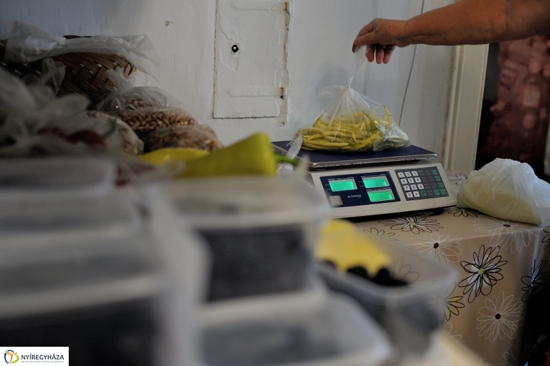 Nyíregyházi Kosár Közösség