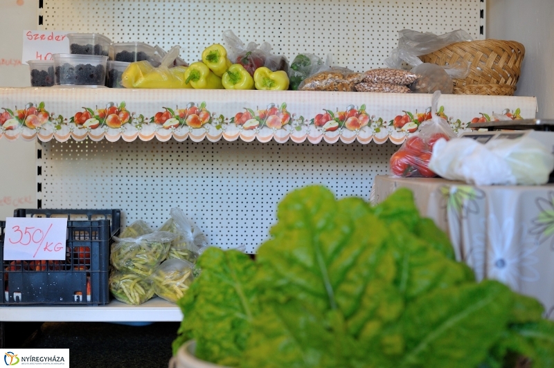 Nyíregyházi Kosár Közösség