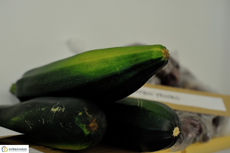 Nyíregyházi Kosár Közösség