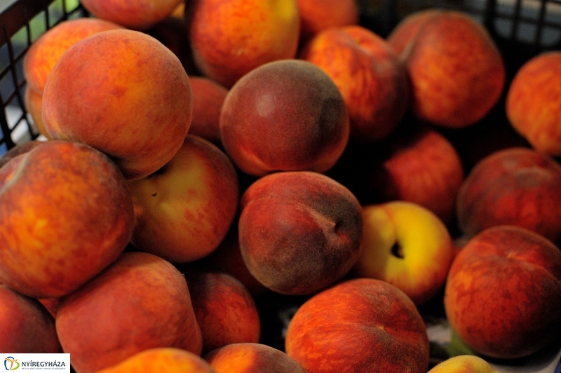 Nyíregyházi Kosár Közösség