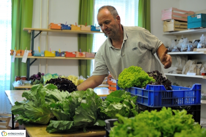 Nyíregyházi Kosár Közösség