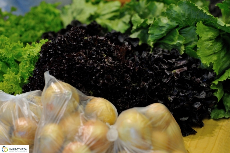 Nyíregyházi Kosár Közösség