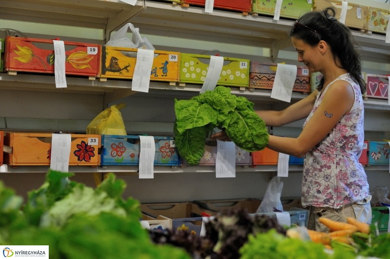 Nyíregyházi Kosár Közösség