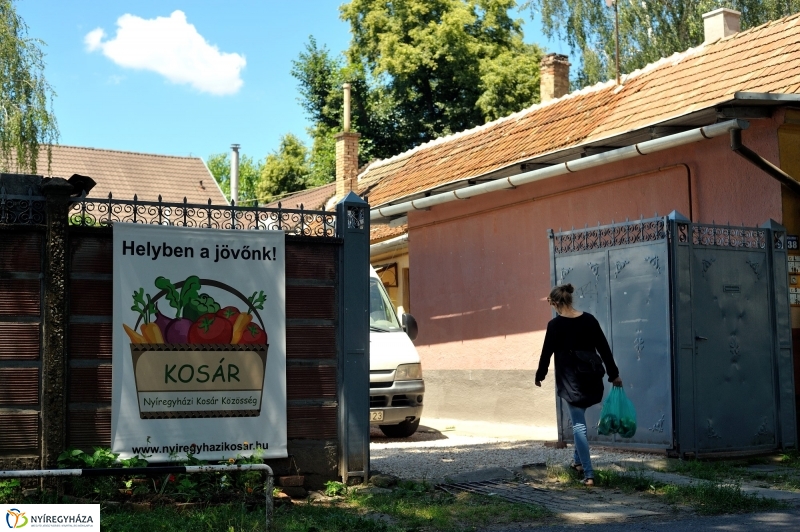 Nyíregyházi Kosár Közösség