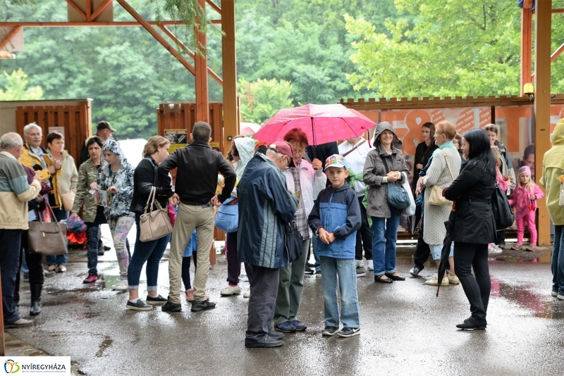 Az Értékes esték programsorozat az Állatparkba kalauzolta az érdeklődőket