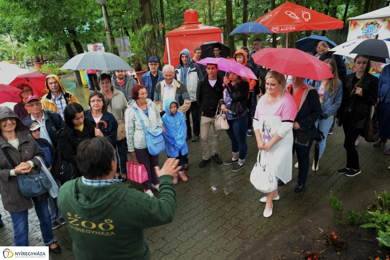 Az Értékes esték programsorozat az Állatparkba kalauzolta az érdeklődőket