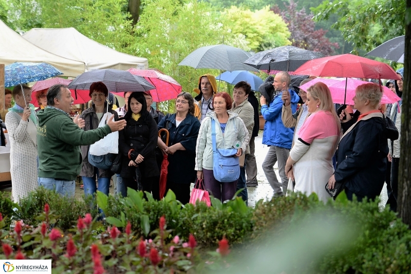 Az Értékes esték programsorozat az Állatparkba kalauzolta az érdeklődőket