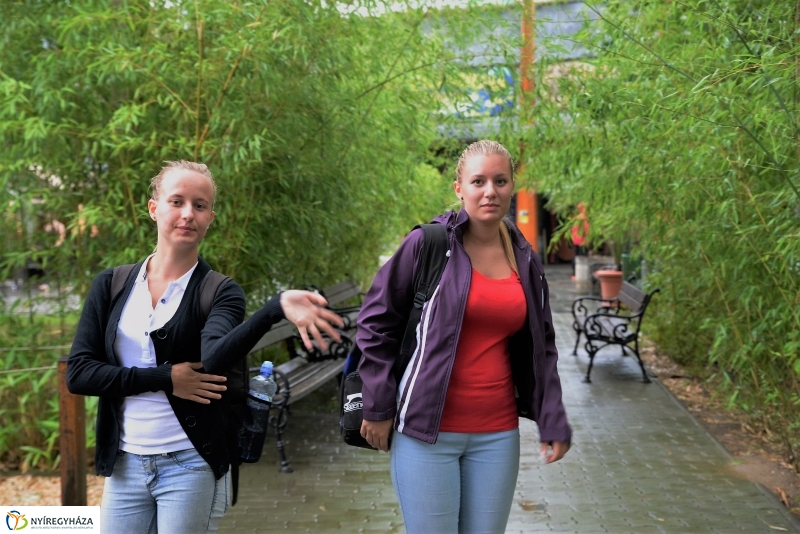 Az Értékes esték programsorozat az Állatparkba kalauzolta az érdeklődőket