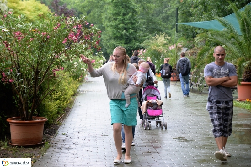 Az Értékes esték programsorozat az Állatparkba kalauzolta az érdeklődőket