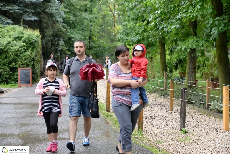 Az Értékes esték programsorozat az Állatparkba kalauzolta az érdeklődőket