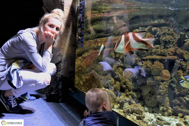 Az Értékes esték programsorozat az Állatparkba kalauzolta az érdeklődőket