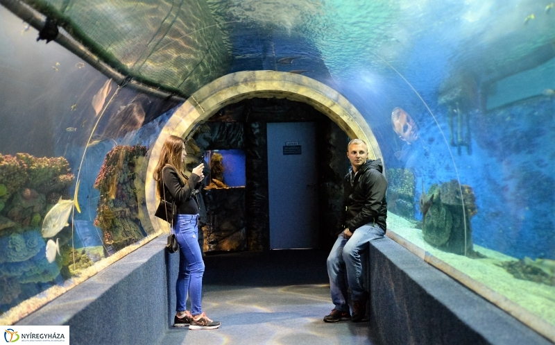 Az Értékes esték programsorozat az Állatparkba kalauzolta az érdeklődőket