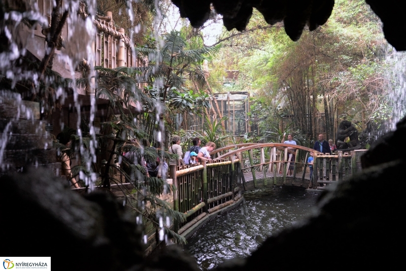 Az Értékes esték programsorozat az Állatparkba kalauzolta az érdeklődőket