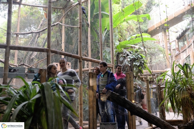 Az Értékes esték programsorozat az Állatparkba kalauzolta az érdeklődőket