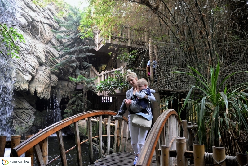 Az Értékes esték programsorozat az Állatparkba kalauzolta az érdeklődőket