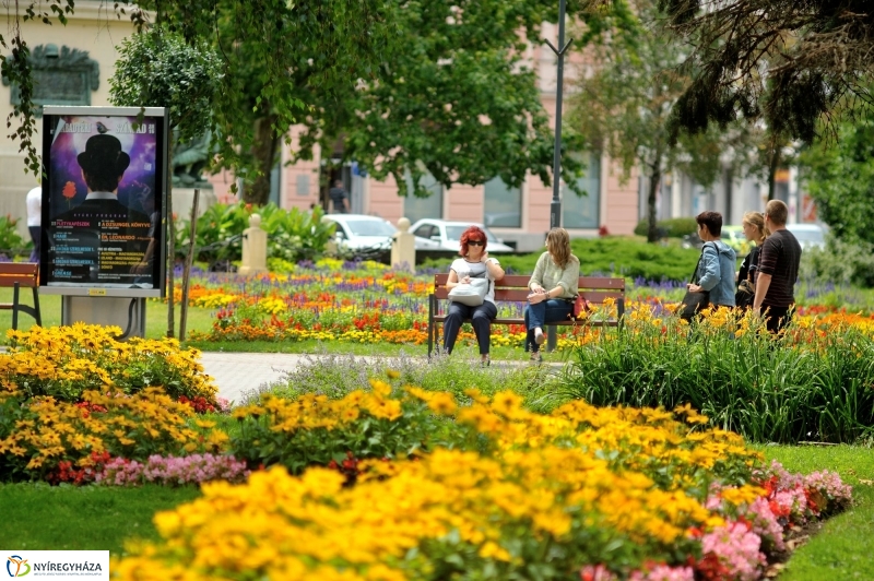 Belvárosi pillanatképek