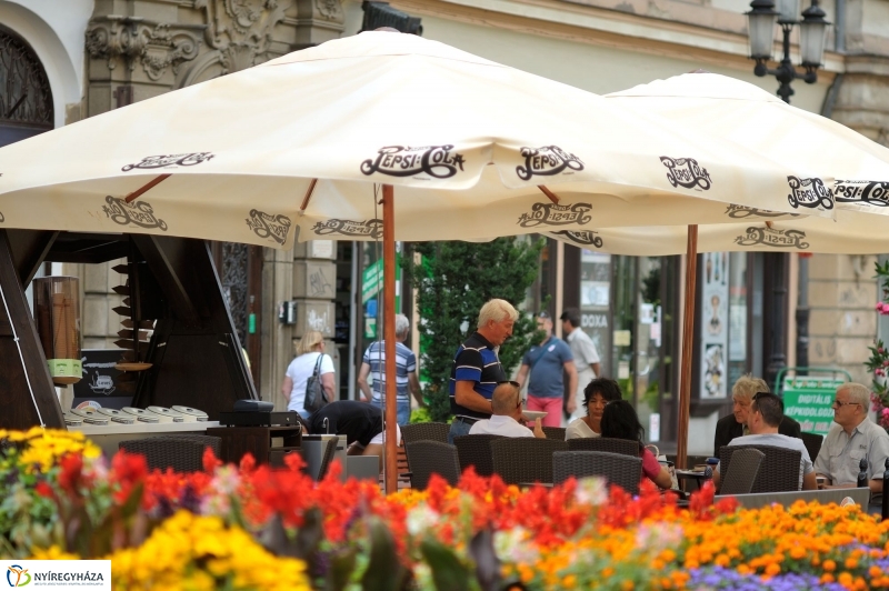 Belvárosi pillanatképek