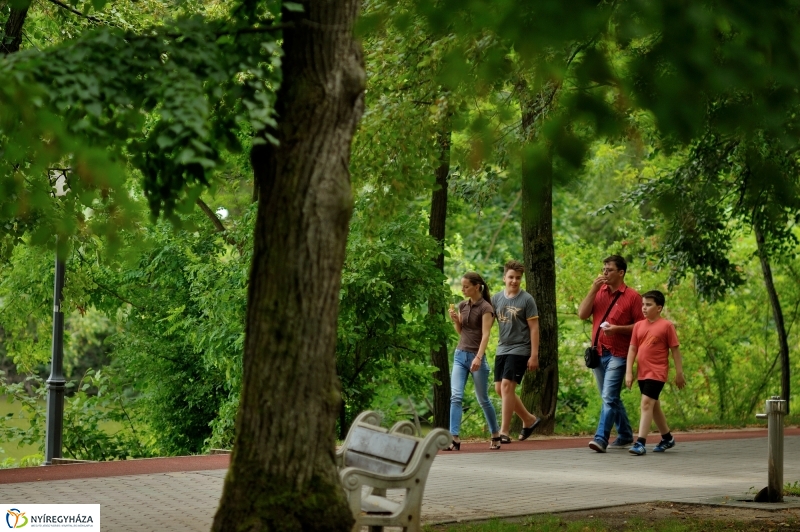 Pillanatok Sóstón II.