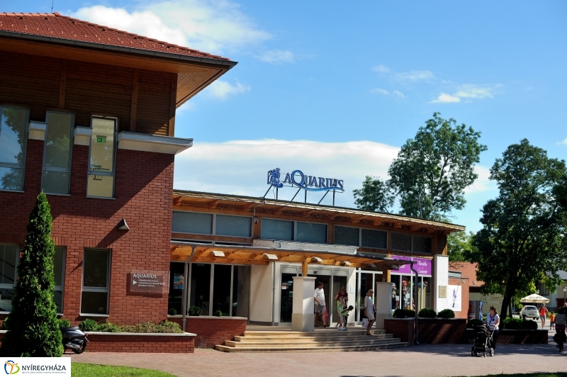 Pillanatok Sóstón II.