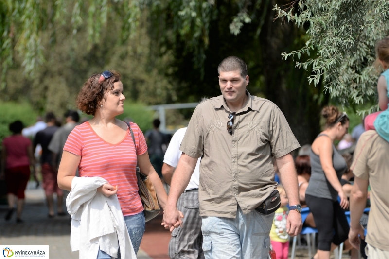 Sárkányhajó fesztivál Sóstón 2