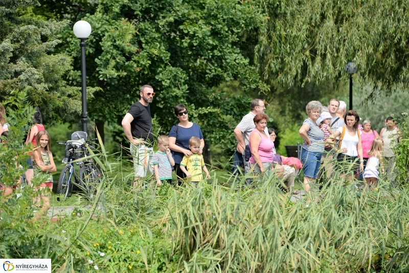 Sárkányhajó fesztivál Sóstón 2