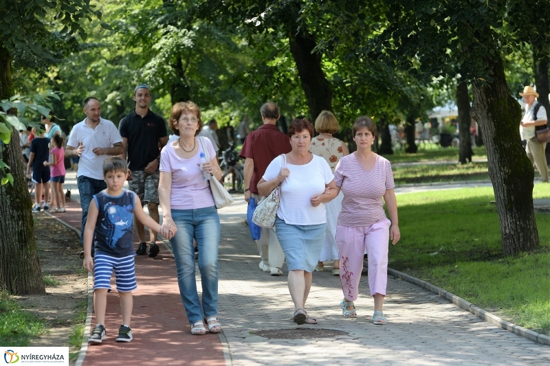 Sárkányhajó fesztivál Sóstón 2