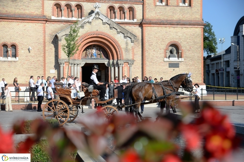 Nyári virágos belváros