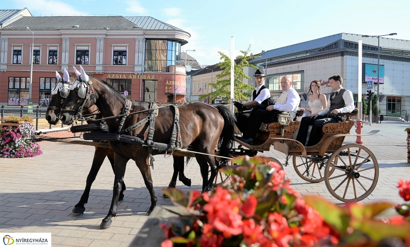 Nyári virágos belváros