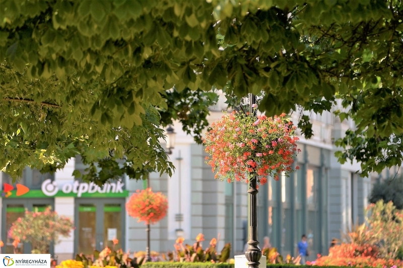 Nyári virágos belváros