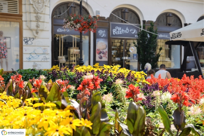 Nyári virágos belváros