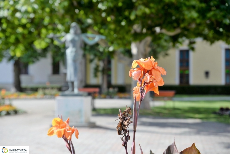 Nyári virágos belváros