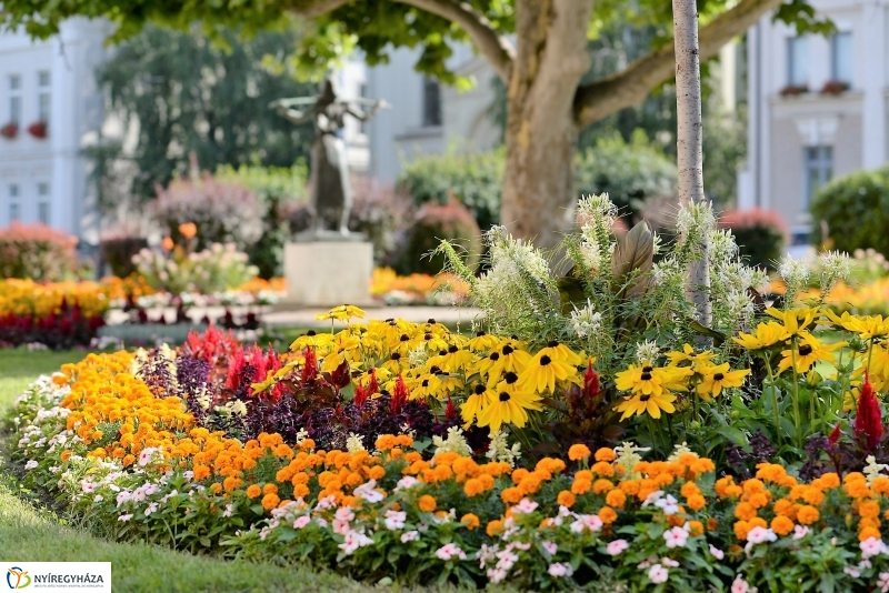 Nyári virágos belváros
