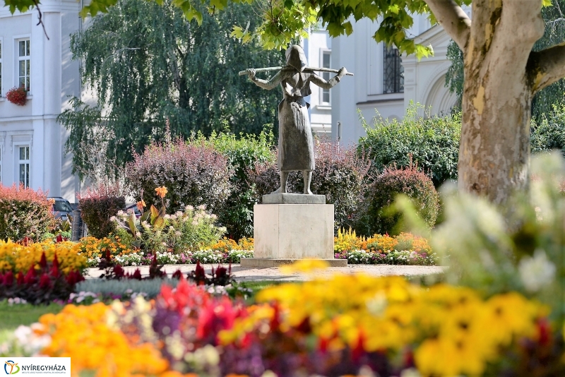 Nyári virágos belváros