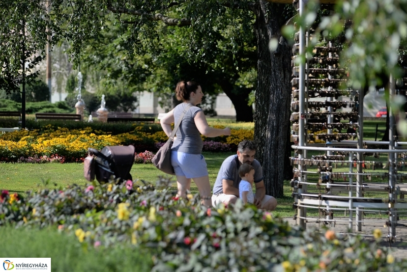 Nyári virágos belváros