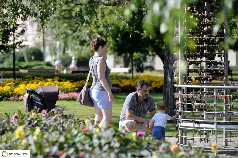 Nyári virágos belváros