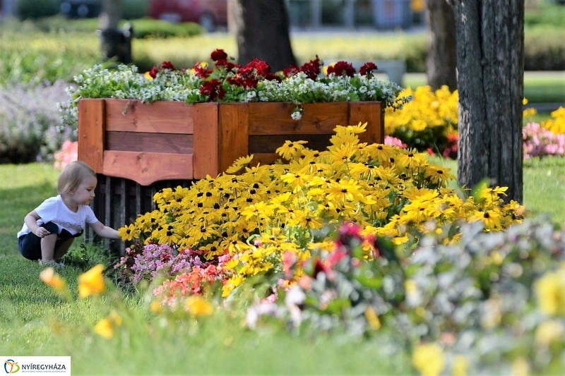 Nyári virágos belváros