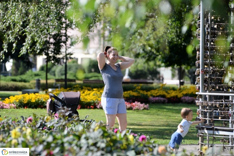 Nyári virágos belváros