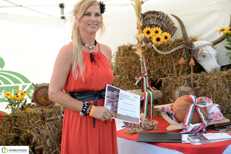 Magyarok Kenyere Program-adományátadás Apagyon