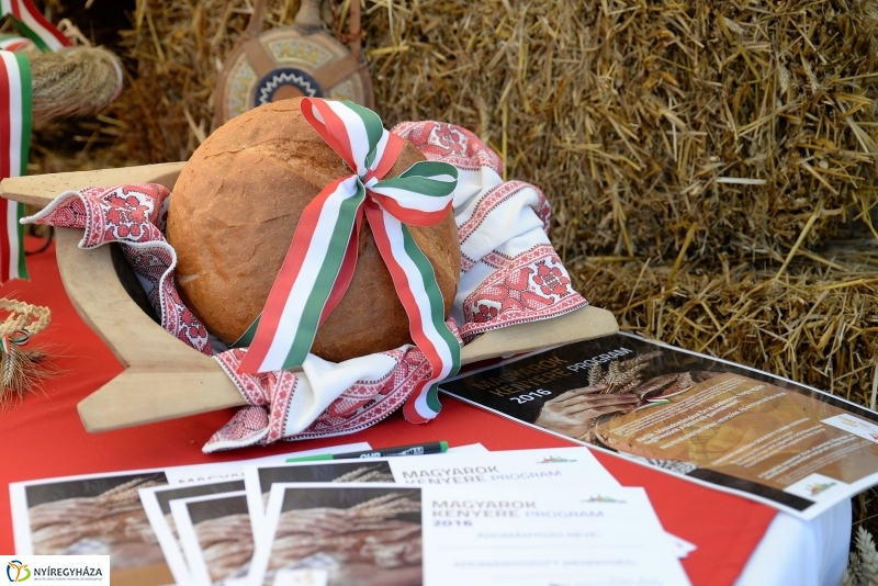 Magyarok Kenyere Program-adományátadás Apagyon
