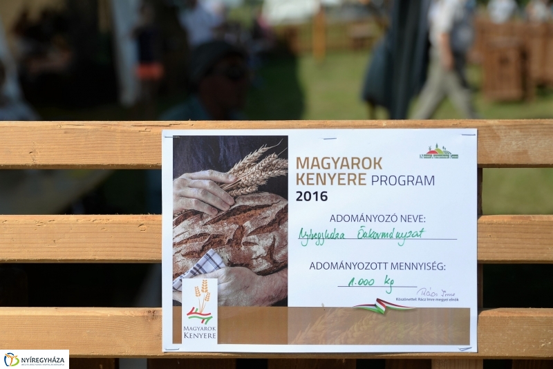 Magyarok Kenyere Program-adományátadás Apagyon