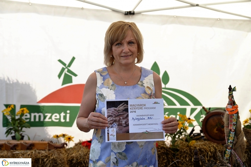 Magyarok Kenyere Program-adományátadás Apagyon