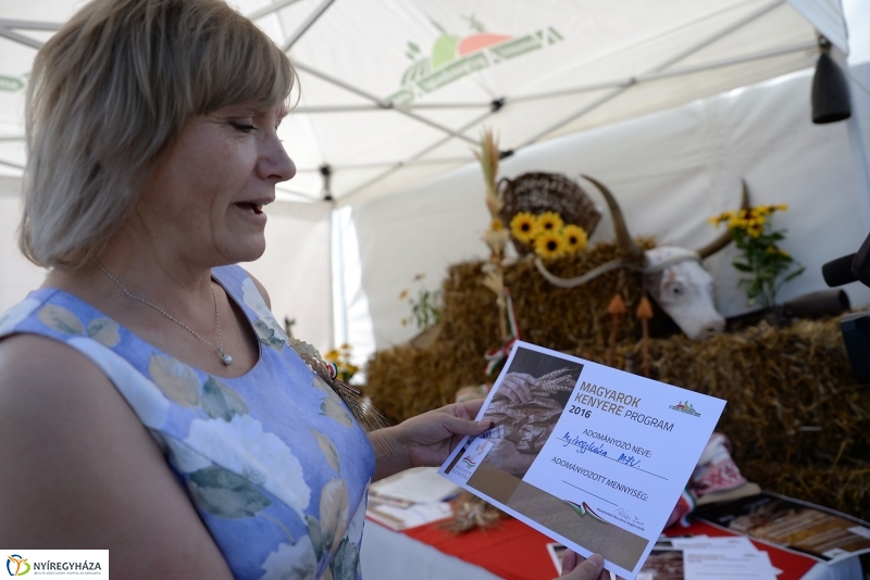 Magyarok Kenyere Program-adományátadás Apagyon