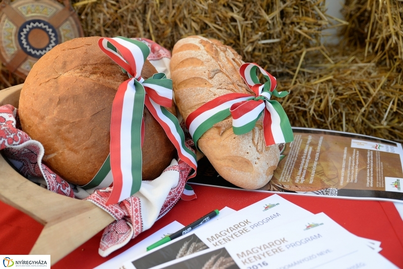 Magyarok Kenyere Program-adományátadás Apagyon